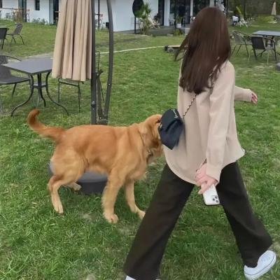 春风物语 海报