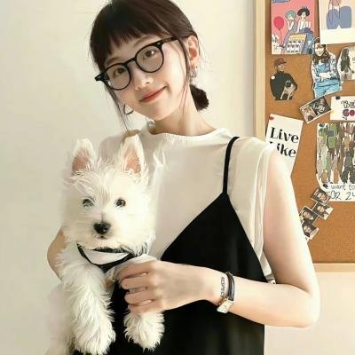 不瘦降之谜 海报